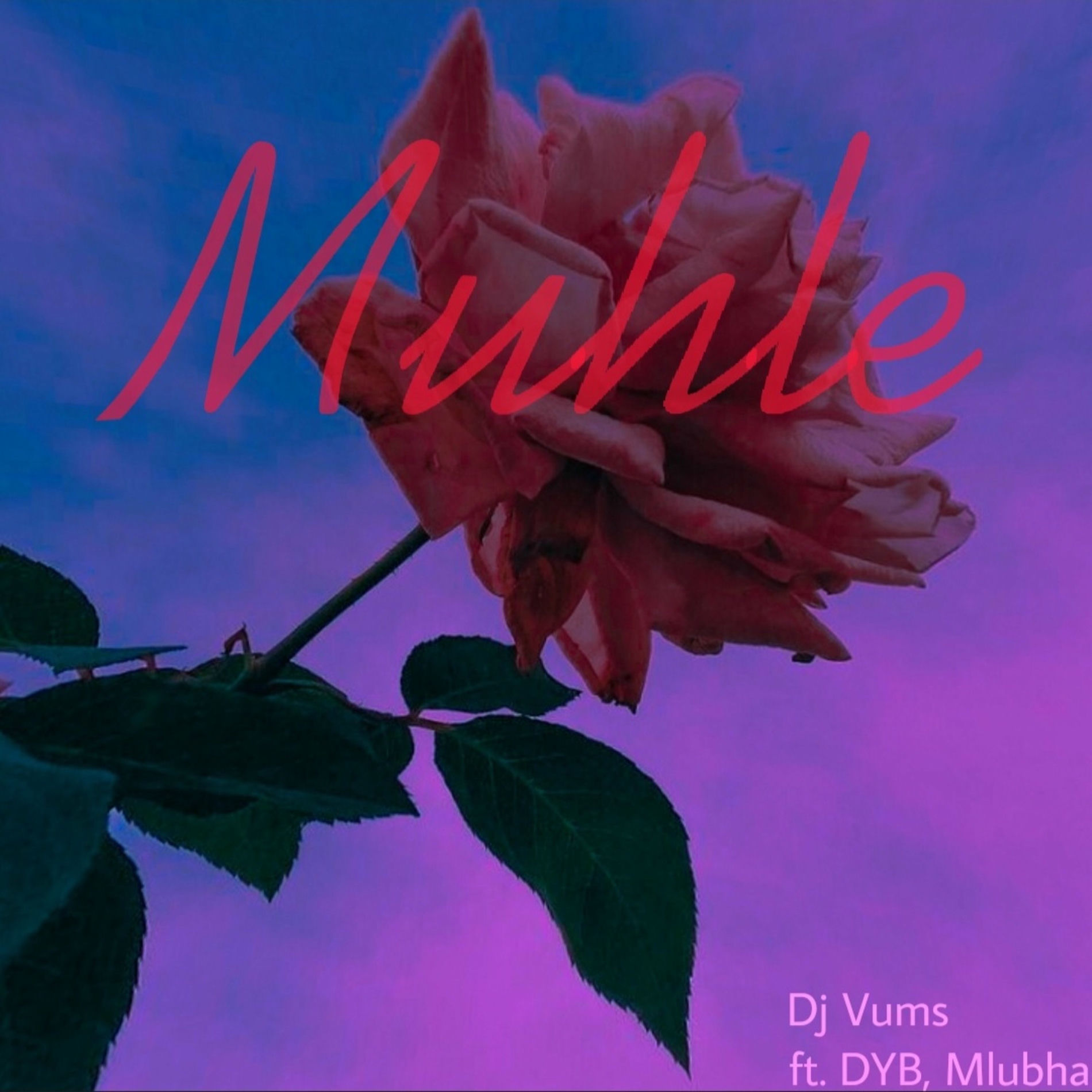 Album cover of Muhle