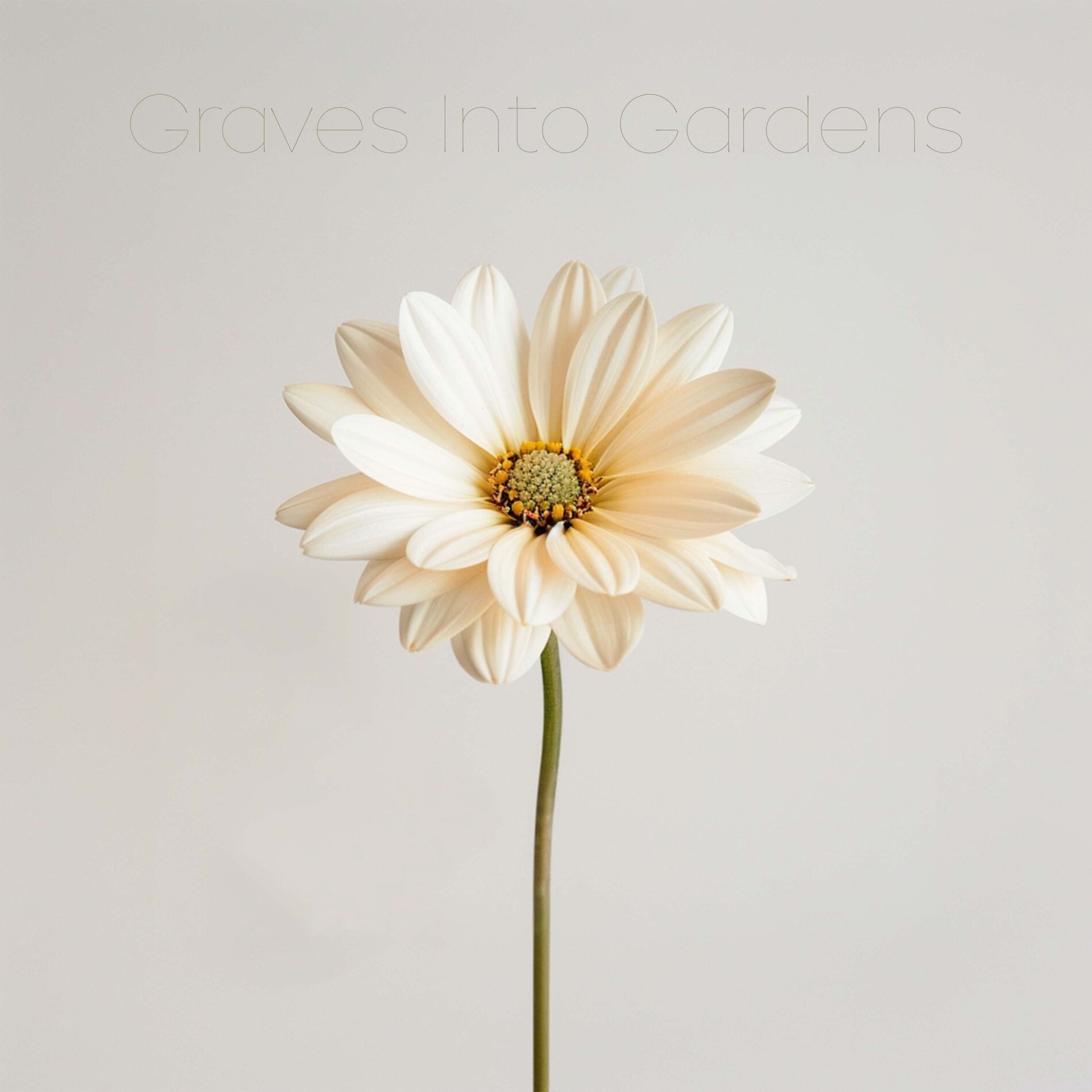 Album cover of Graves Into Gardens
