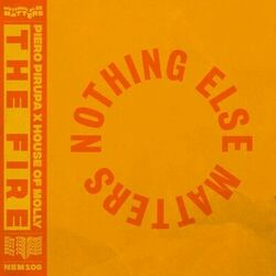Cover of The Fire