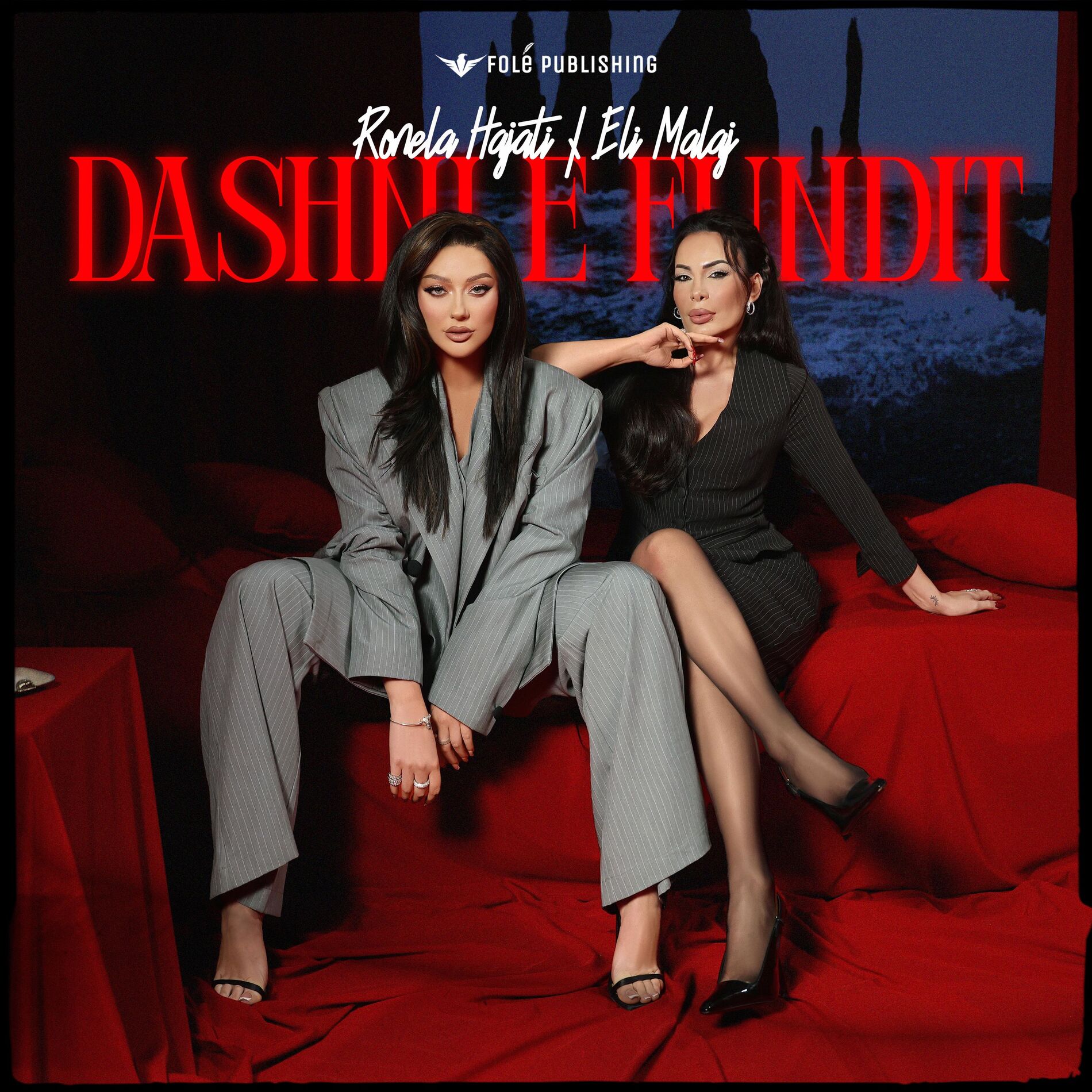 Album cover of DASHNI E FUNDIT