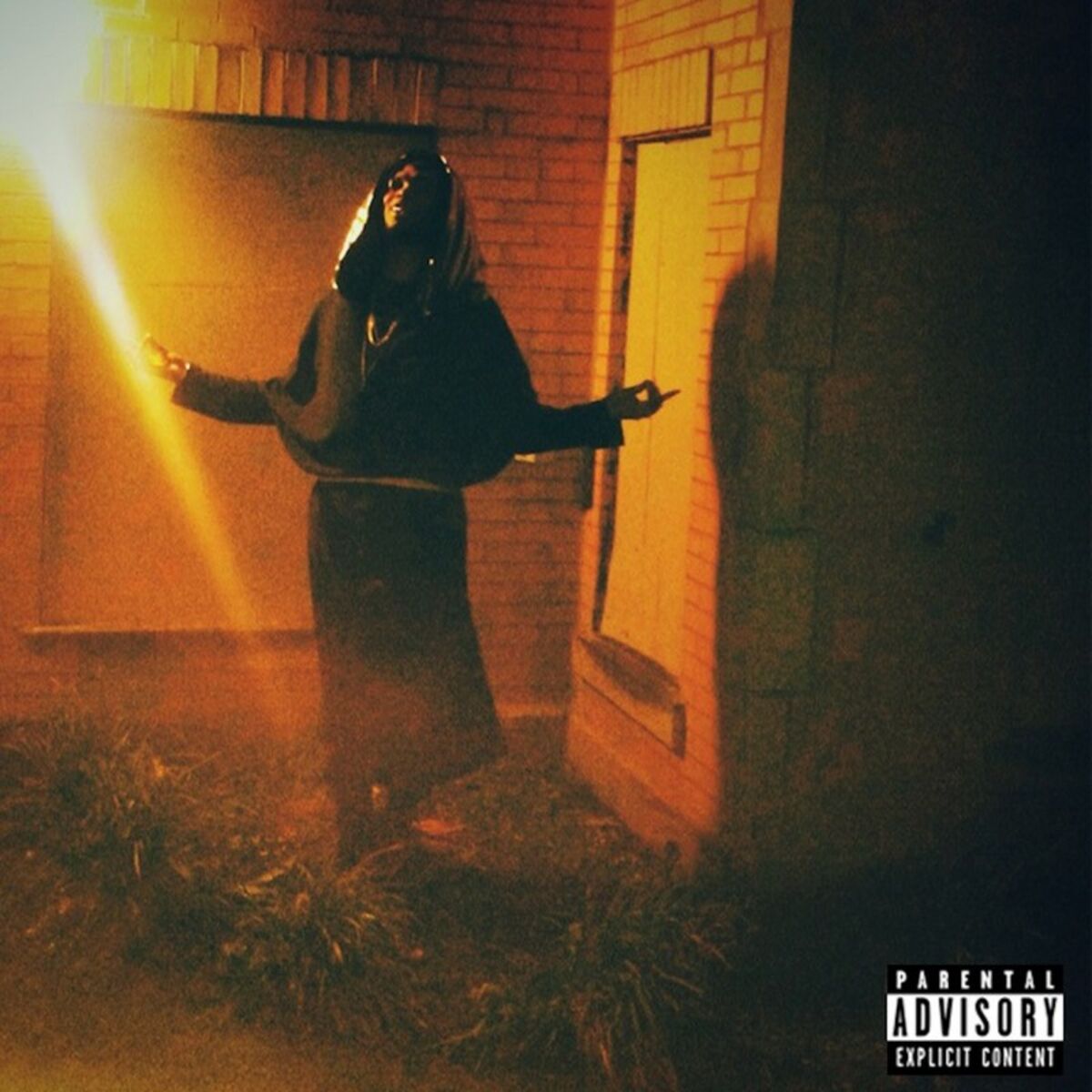 Album cover of Lownt God Rising