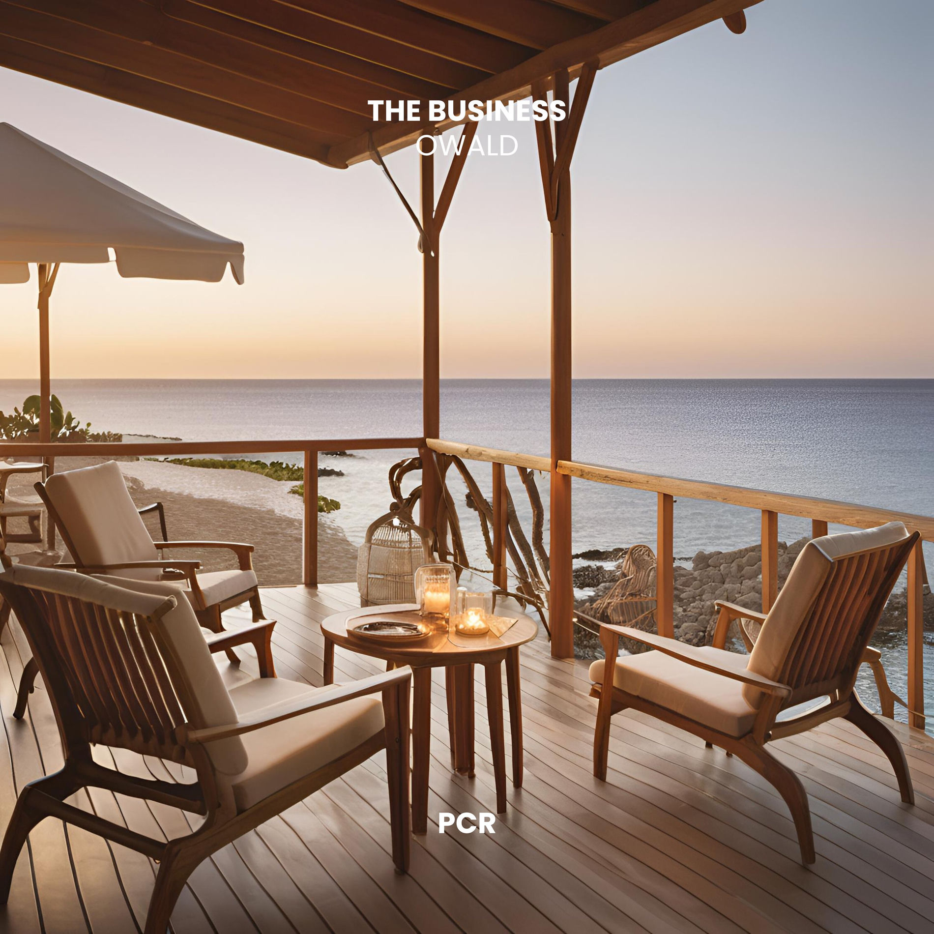 Album cover of The Business