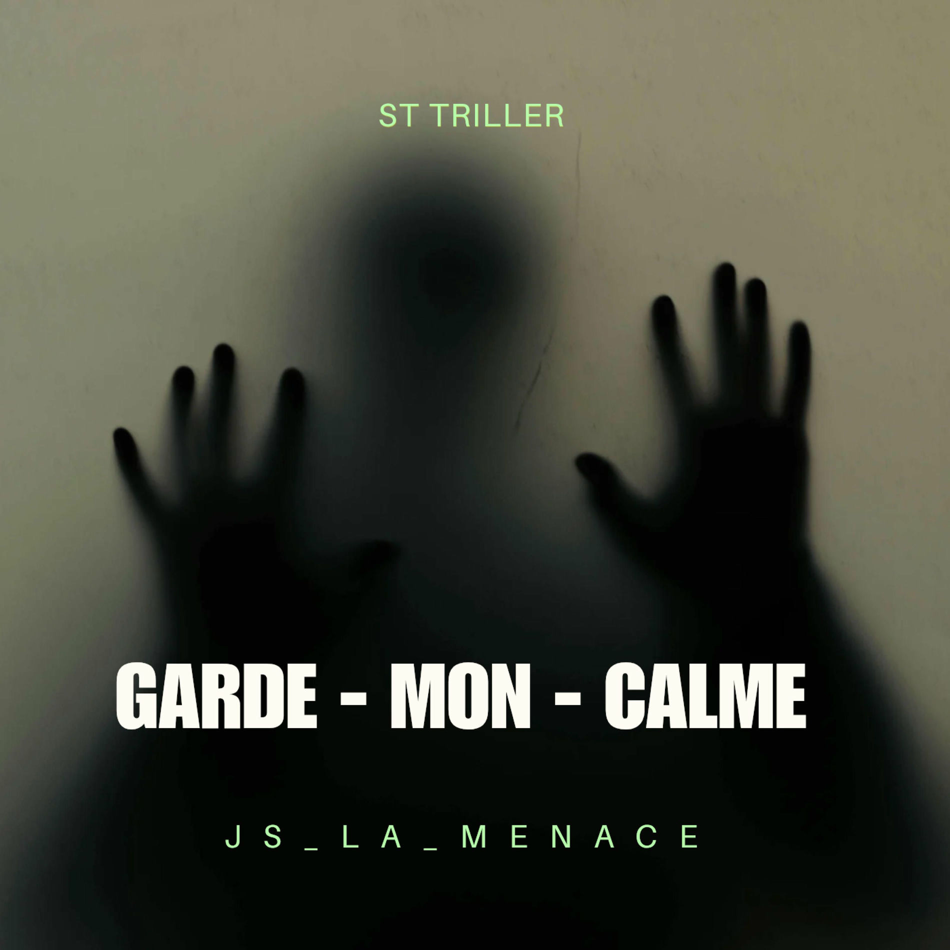 Album cover of Garde Mon Calme (feat. Js)
