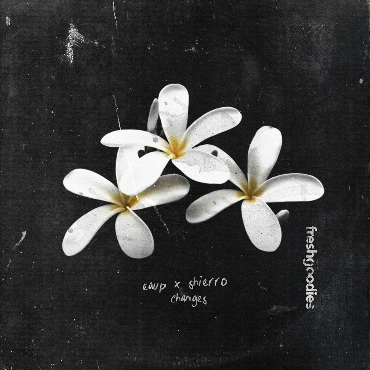 Album cover of changes