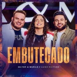 Cover of Embutecado (Ao Vivo)