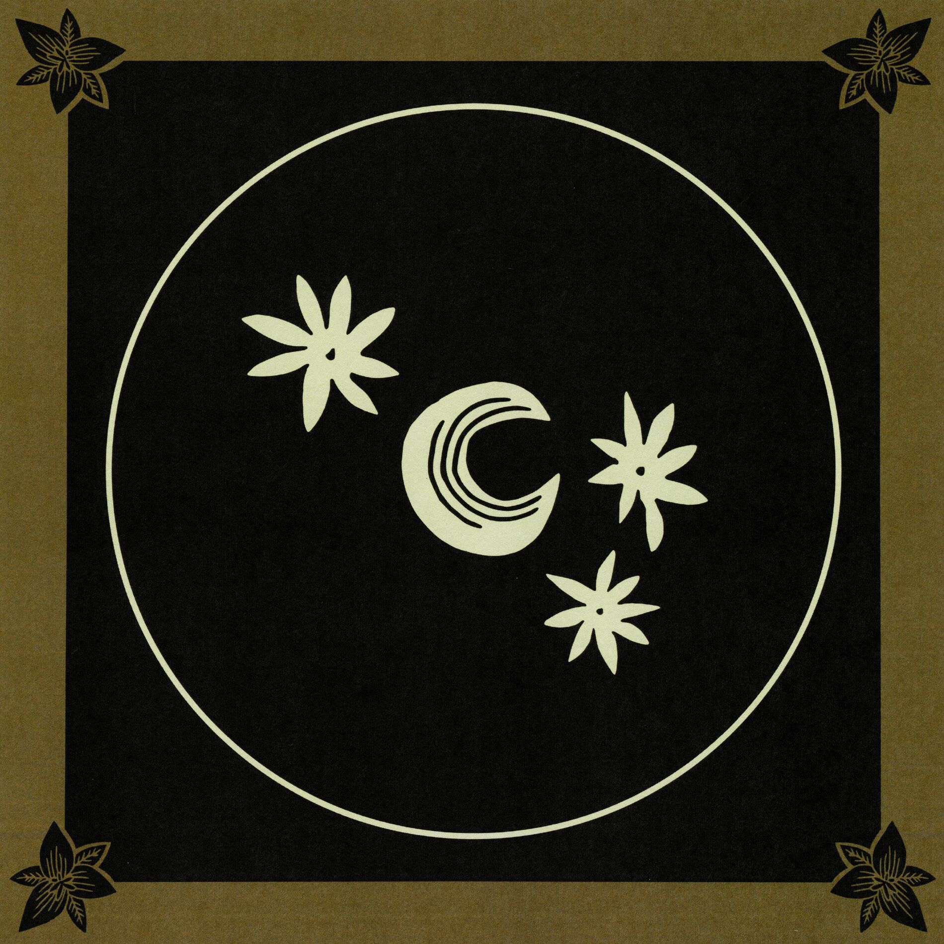 Album cover of No Sleep