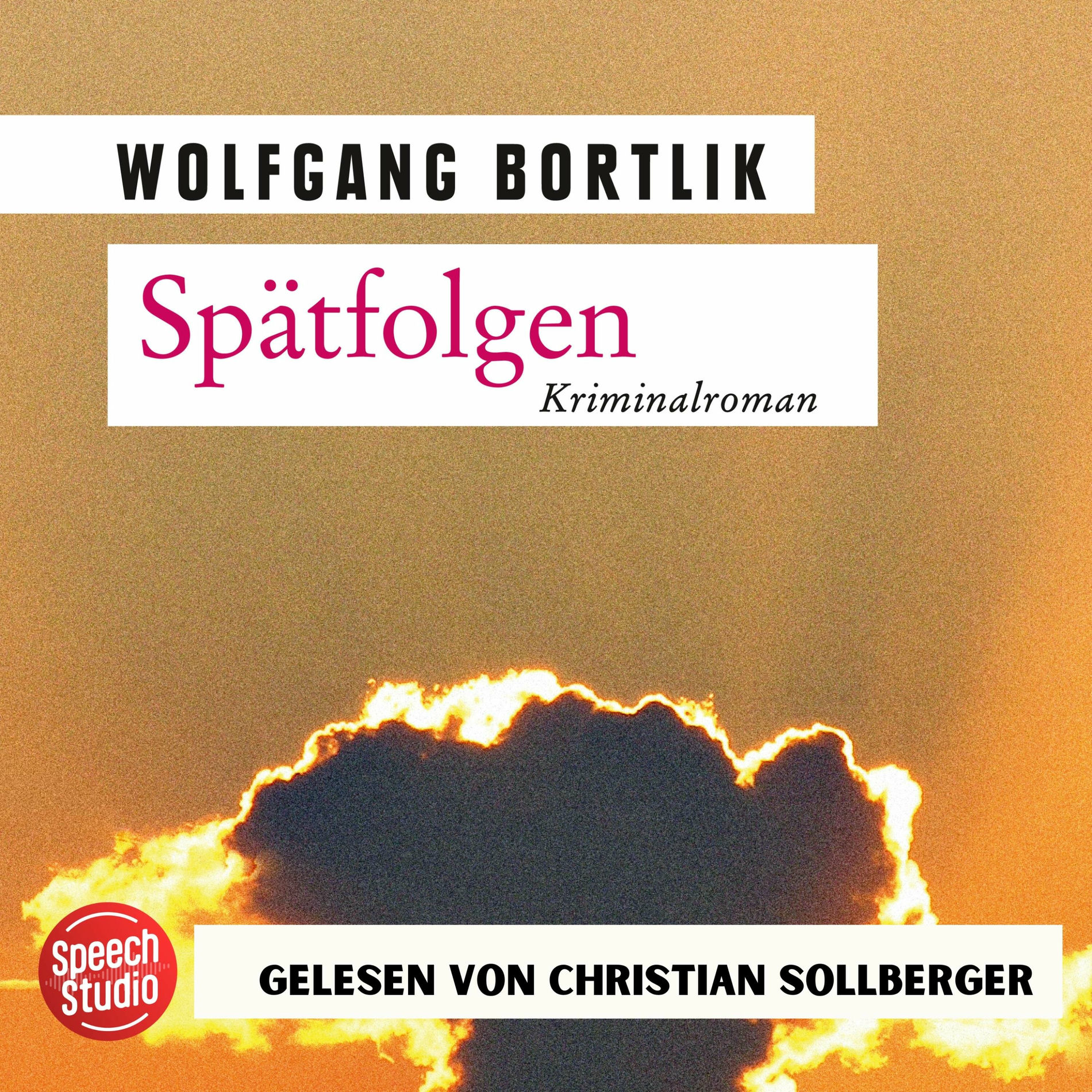 Album cover of Spätfolgen: Kriminalroman