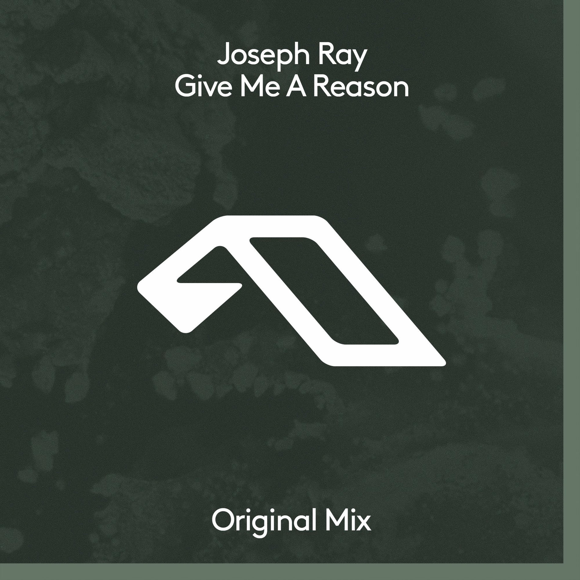 Album cover of Give Me A Reason