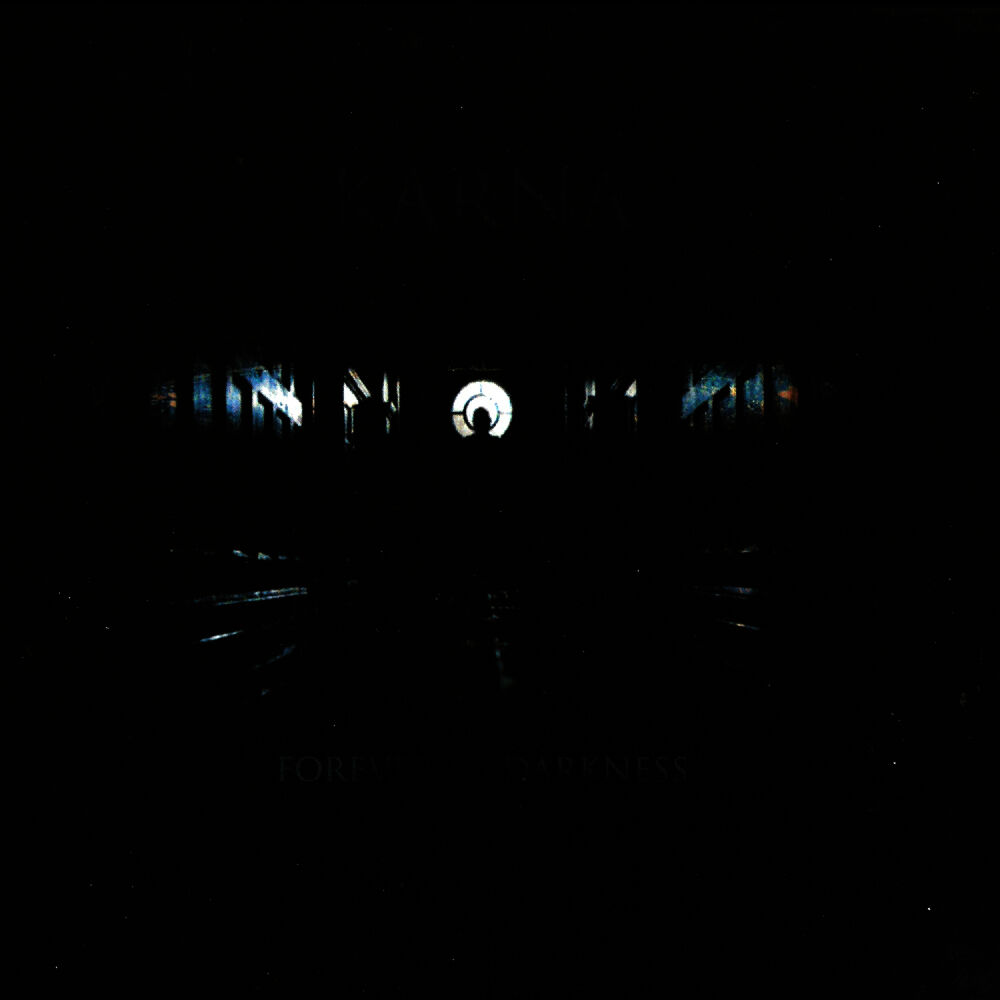 Picture of Forever in Darkness