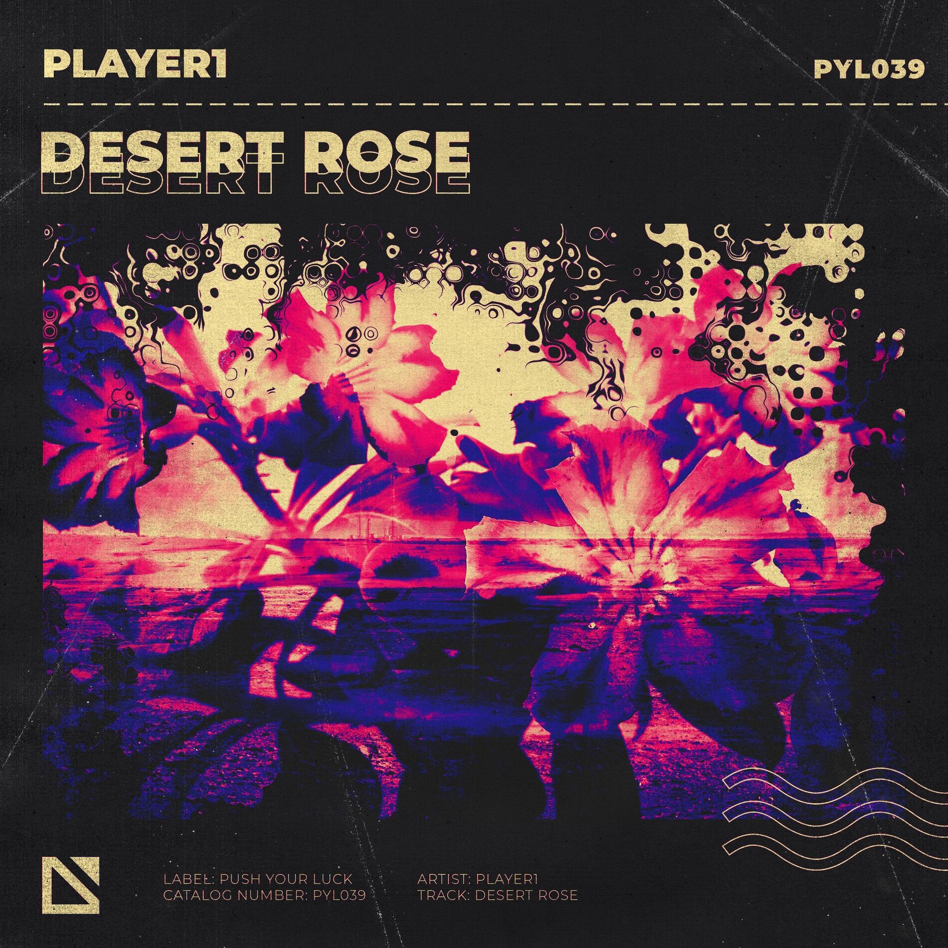 Album cover of Desert Rose