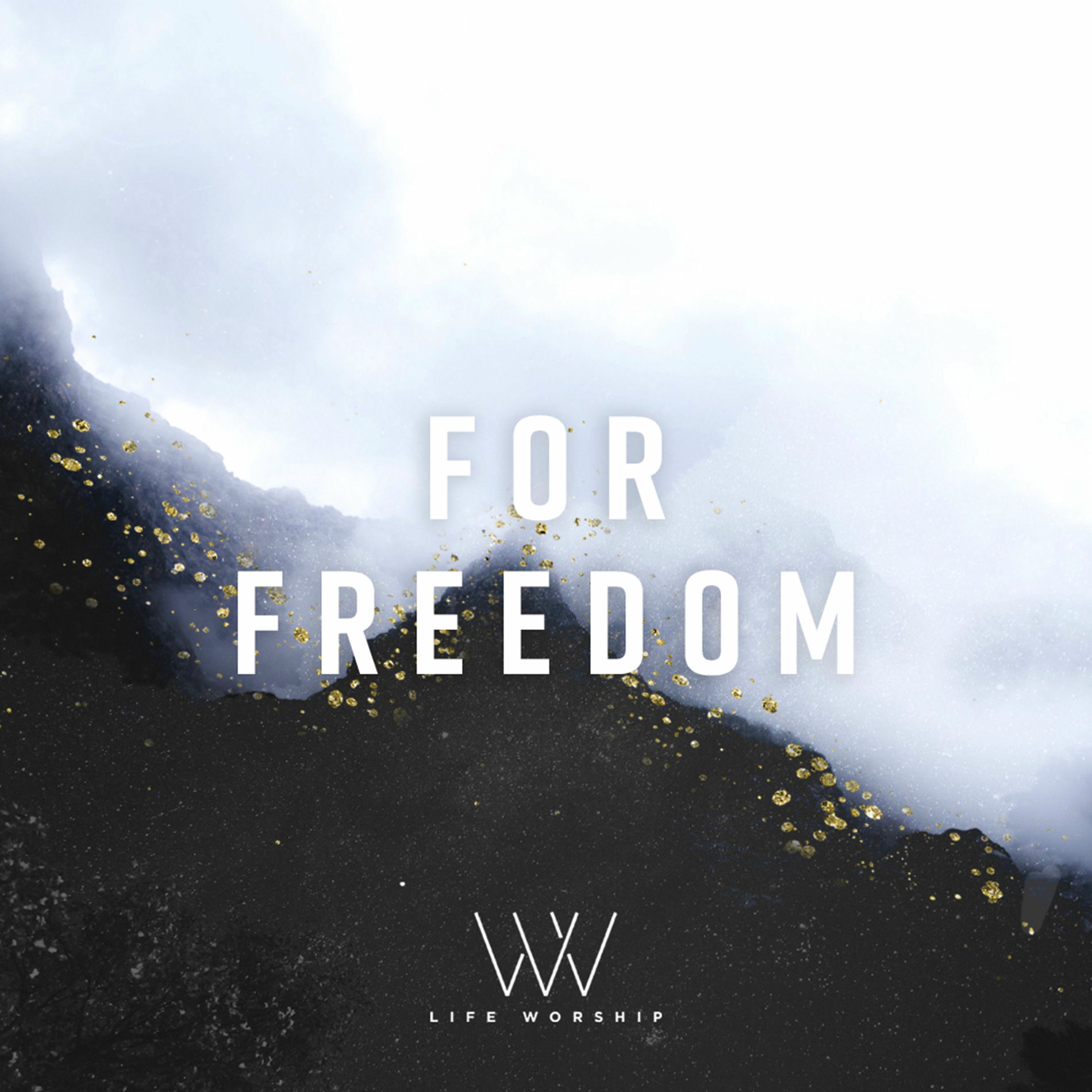 Album cover of For Freedom
