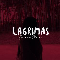 Cover of Lagrimas (feat. Pdrin)