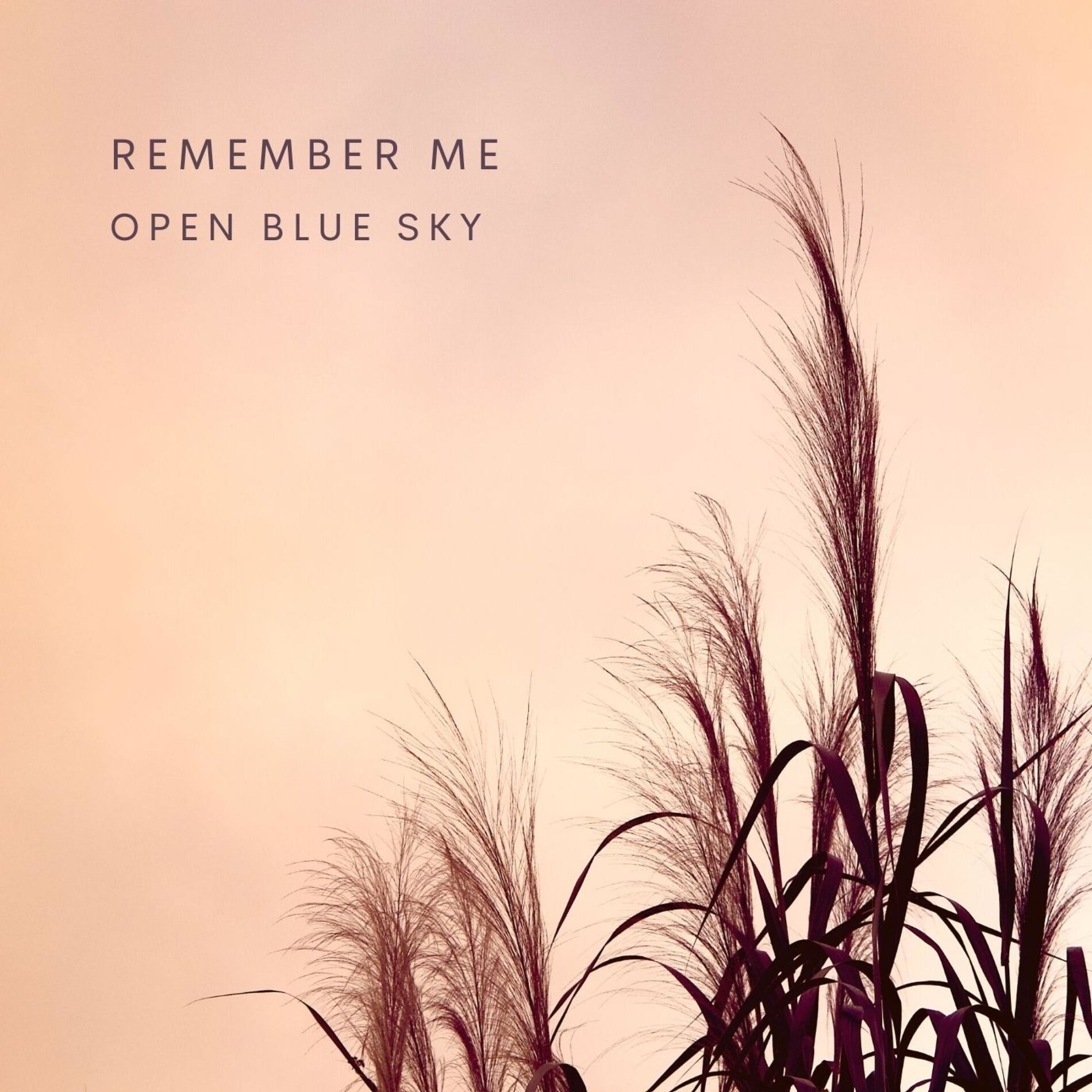 Album cover of Remember Me