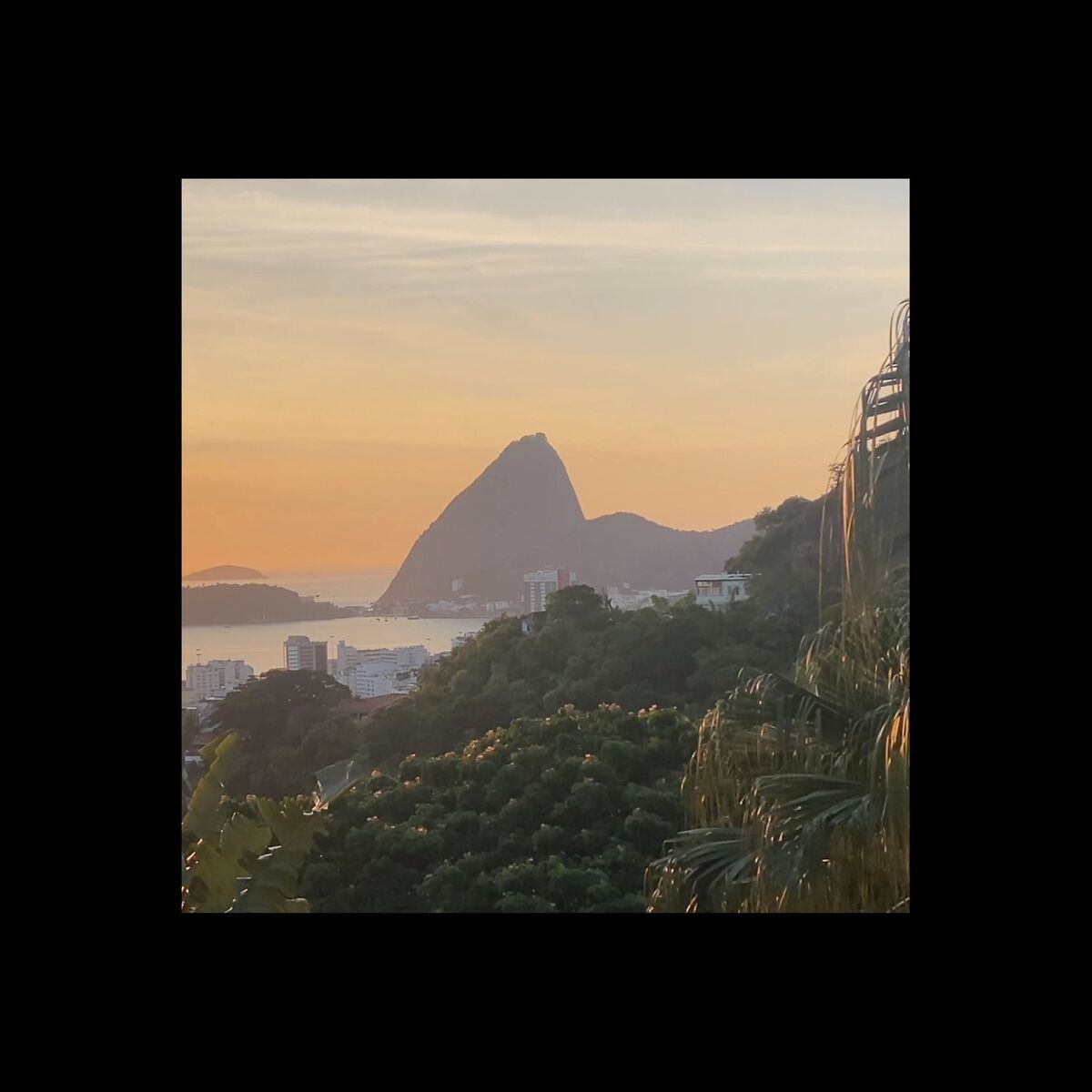 Album cover of Pau