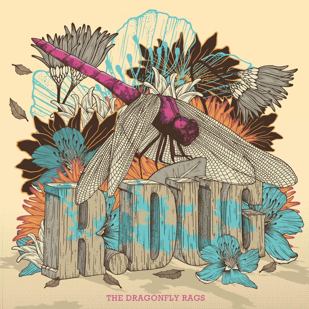 Album cover of The Dragonfly Rags