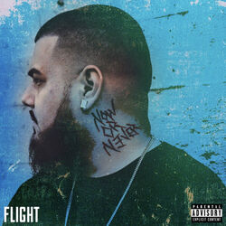 Cover of Now or Never
