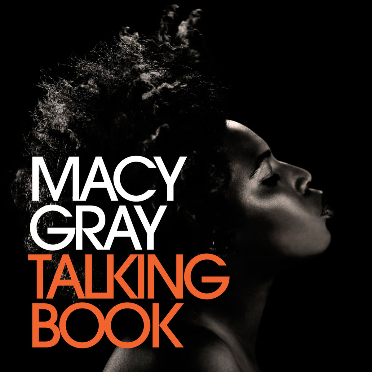 Album cover of Talking Book