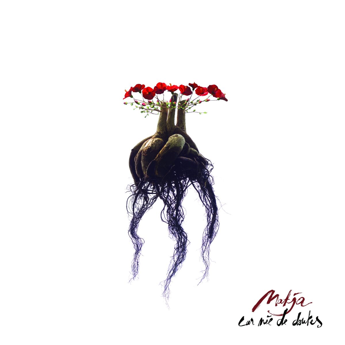 Album cover of Car née de doutes