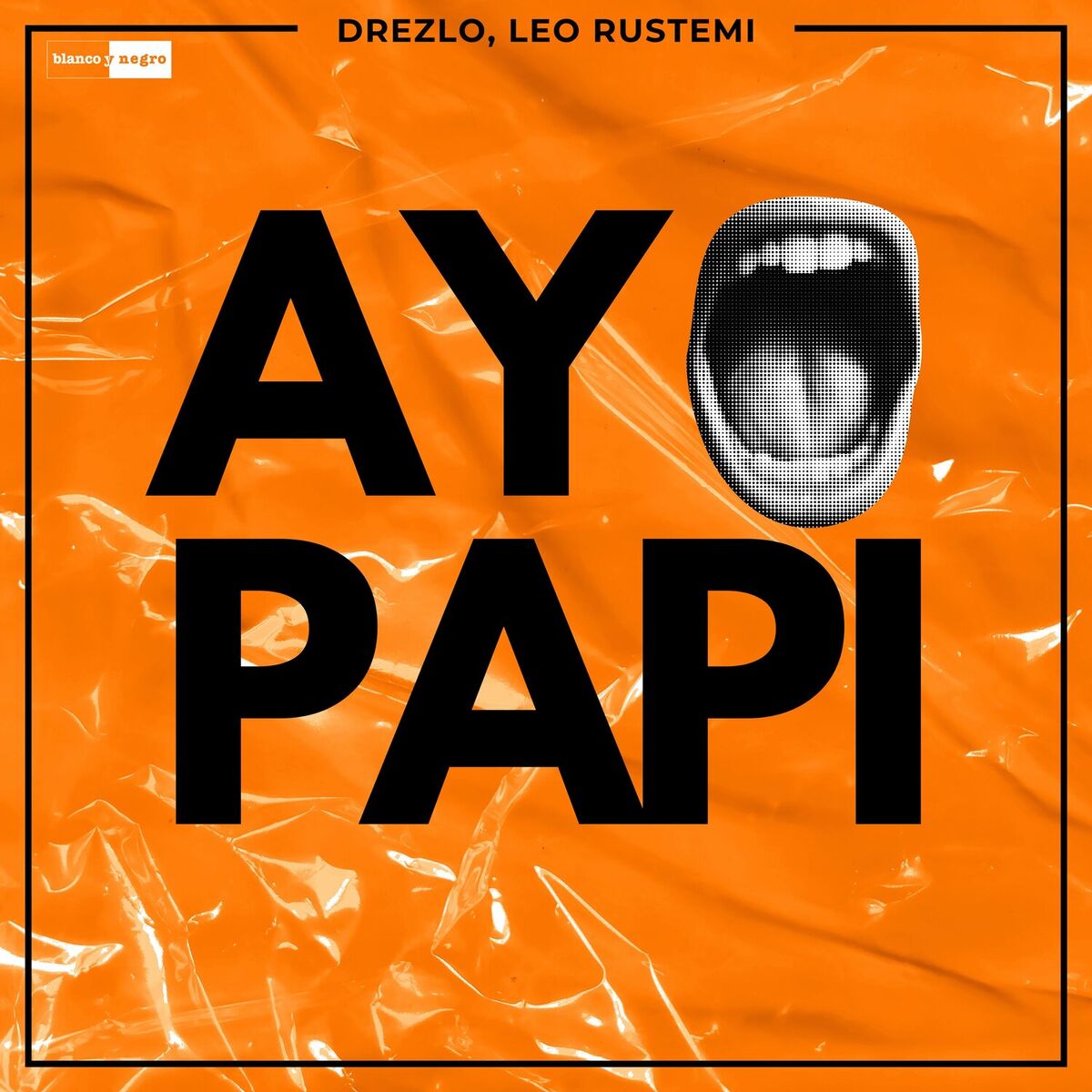 Album cover of Ay Papi