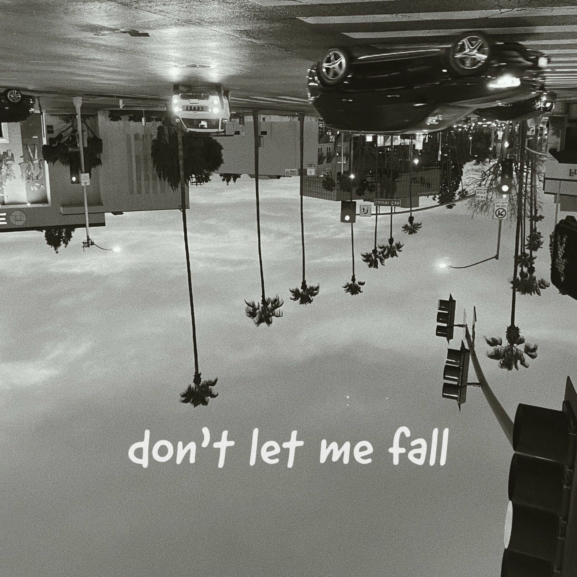 Album cover of don't let me fall