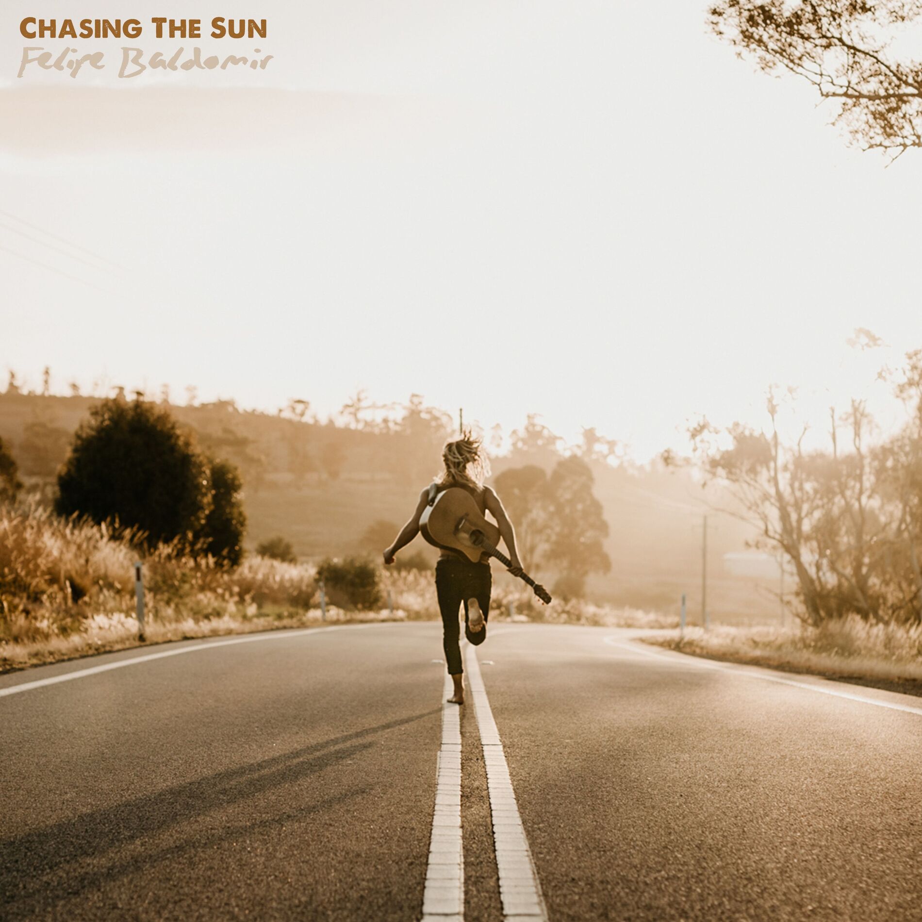 Album cover of Chasing The Sun