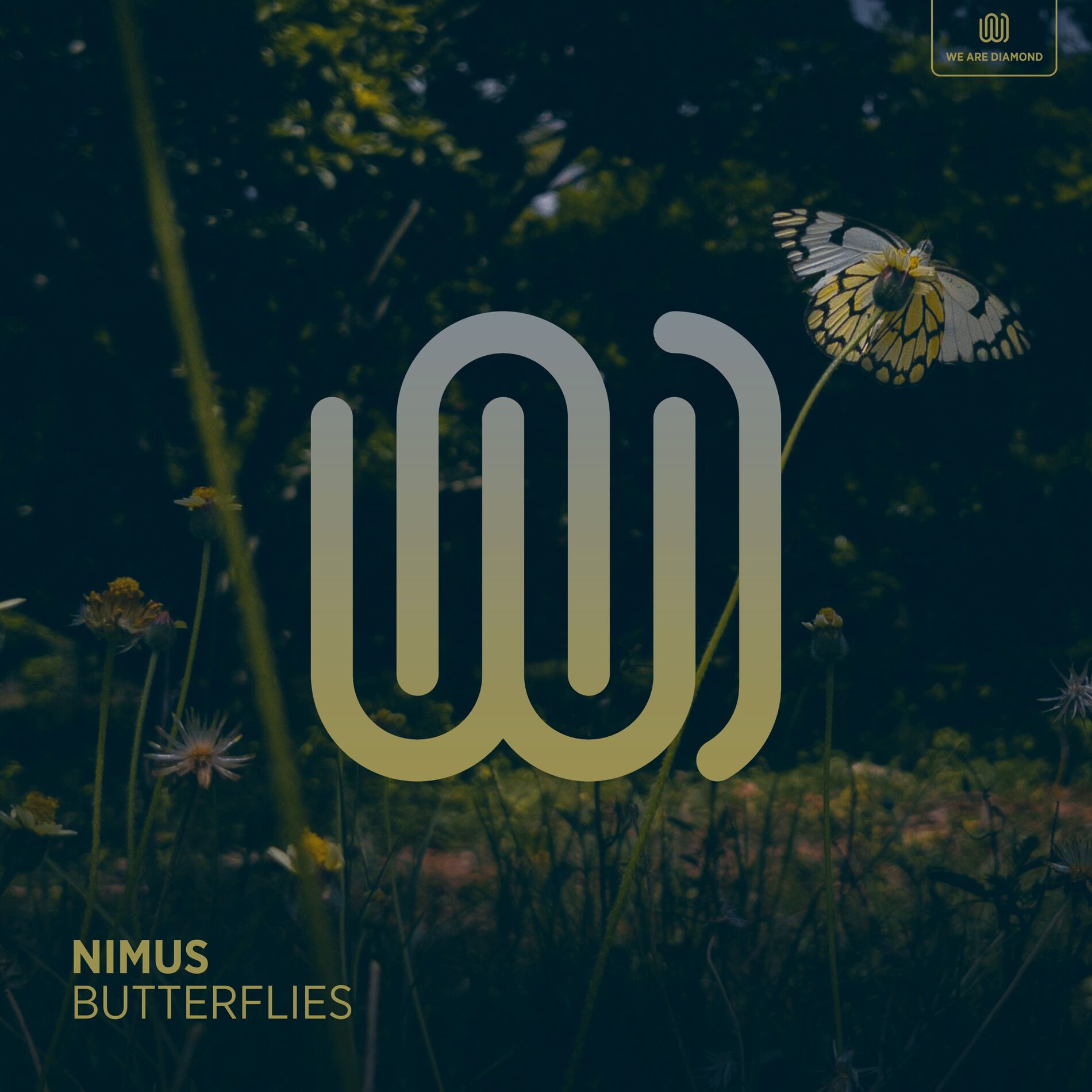 Album cover of Butterflies