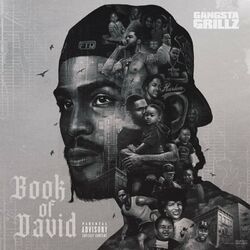 Cover of Book of David