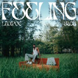 Cover of Feeling