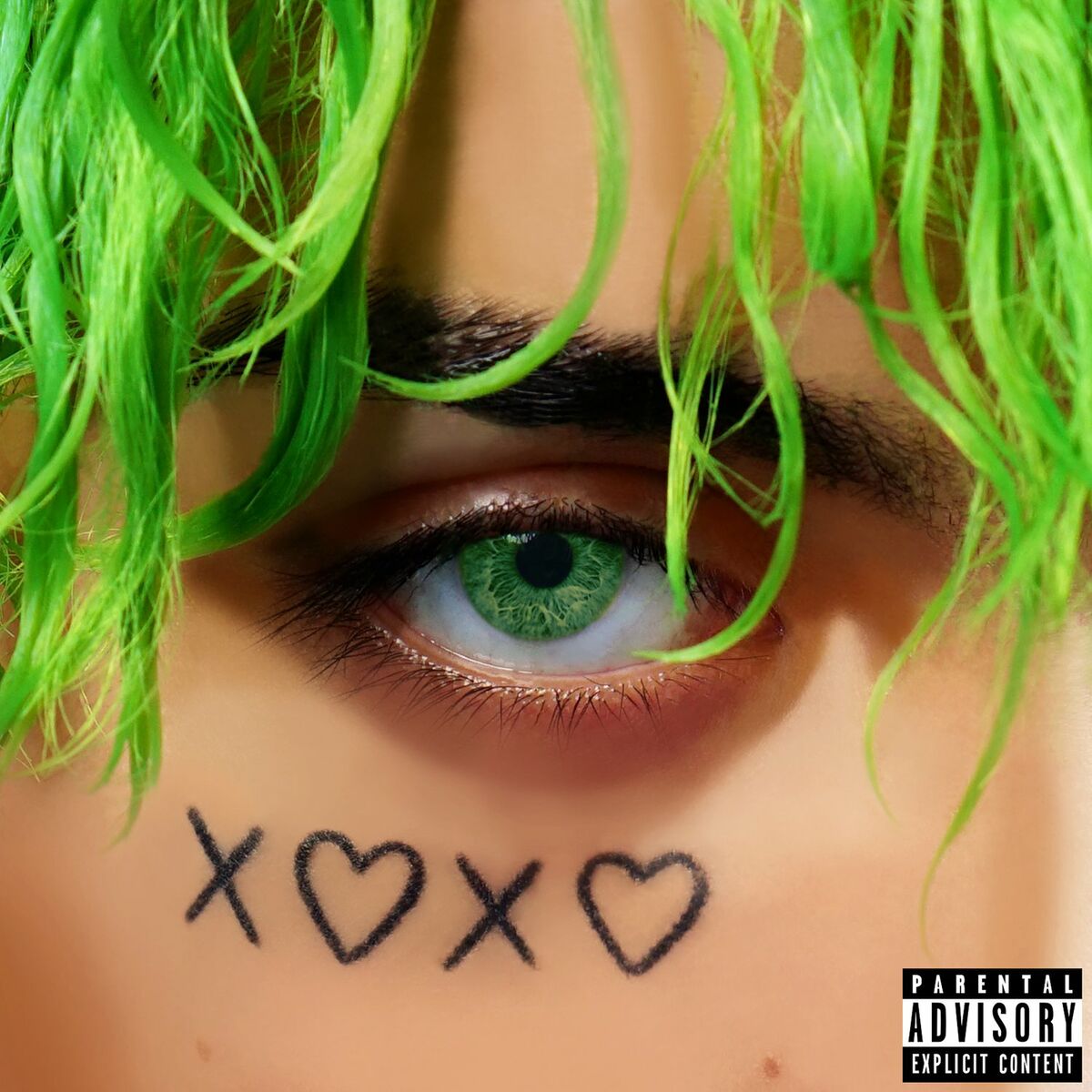 Album cover of FALL IN LOVE
