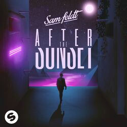 Cover of After The Sunset