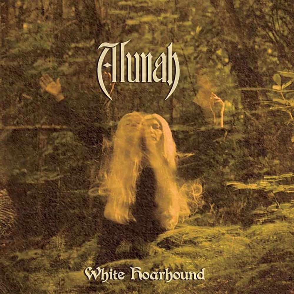 Picture of White Hoarhound