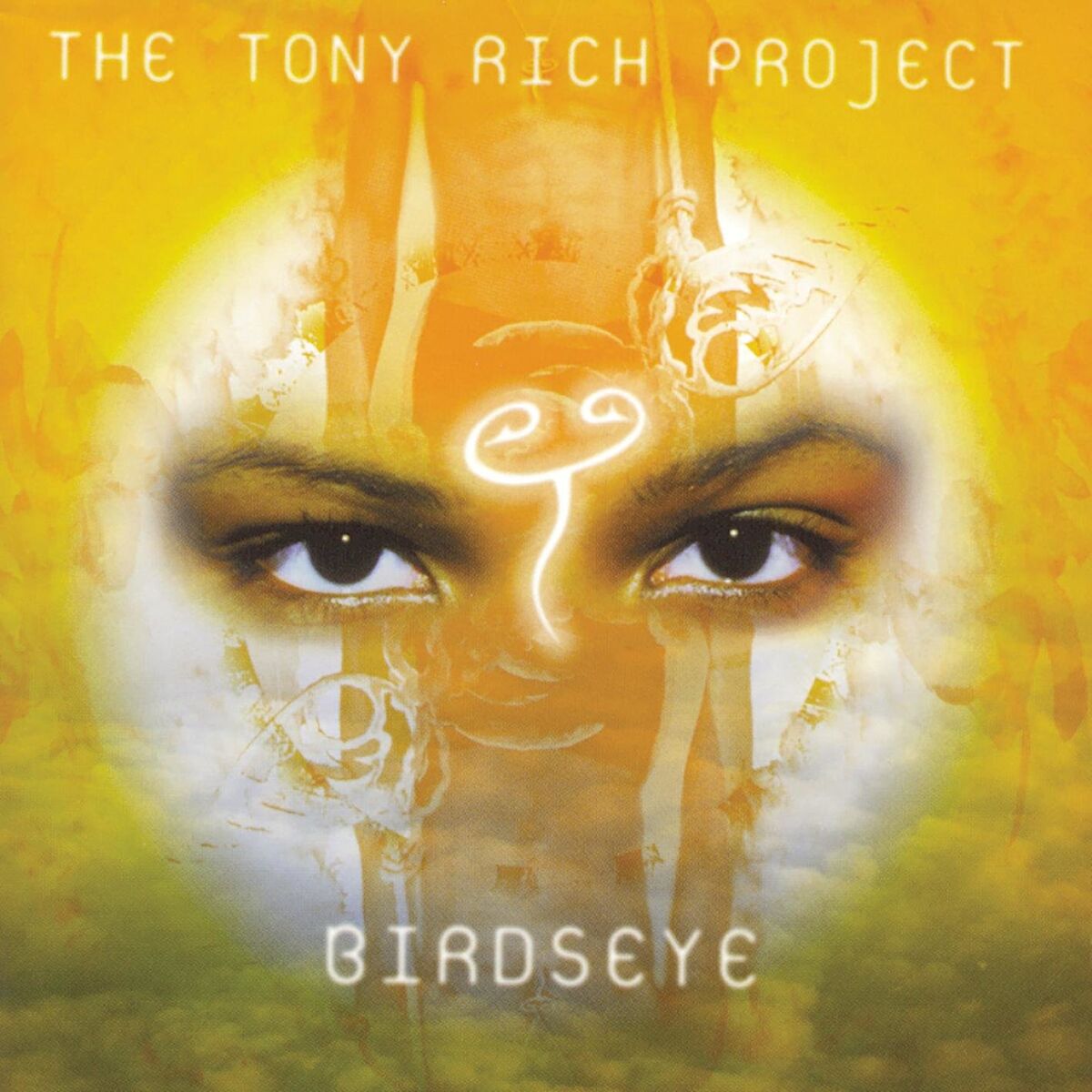 Album cover of Birdseye