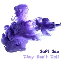 Cover of They Don't Tell