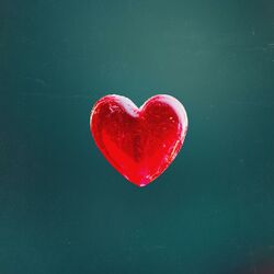 Cover of I Love It (Bundle)