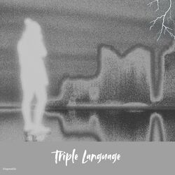 Cover of Triple Language