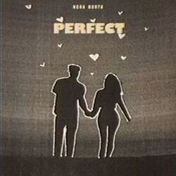 Cover of Perfect