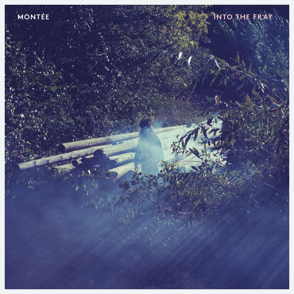Picture of Into the Fray