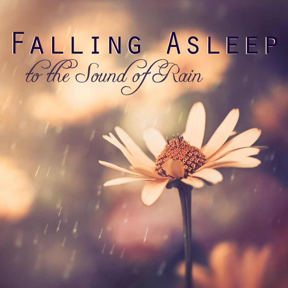 Picture of Falling Asleep to the Sound of Rain - 1 Hour Relaxing Sleep Music to Help you Sleep Well, Relax and Dream