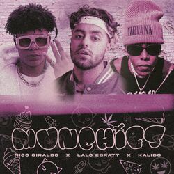 Cover of Munchies