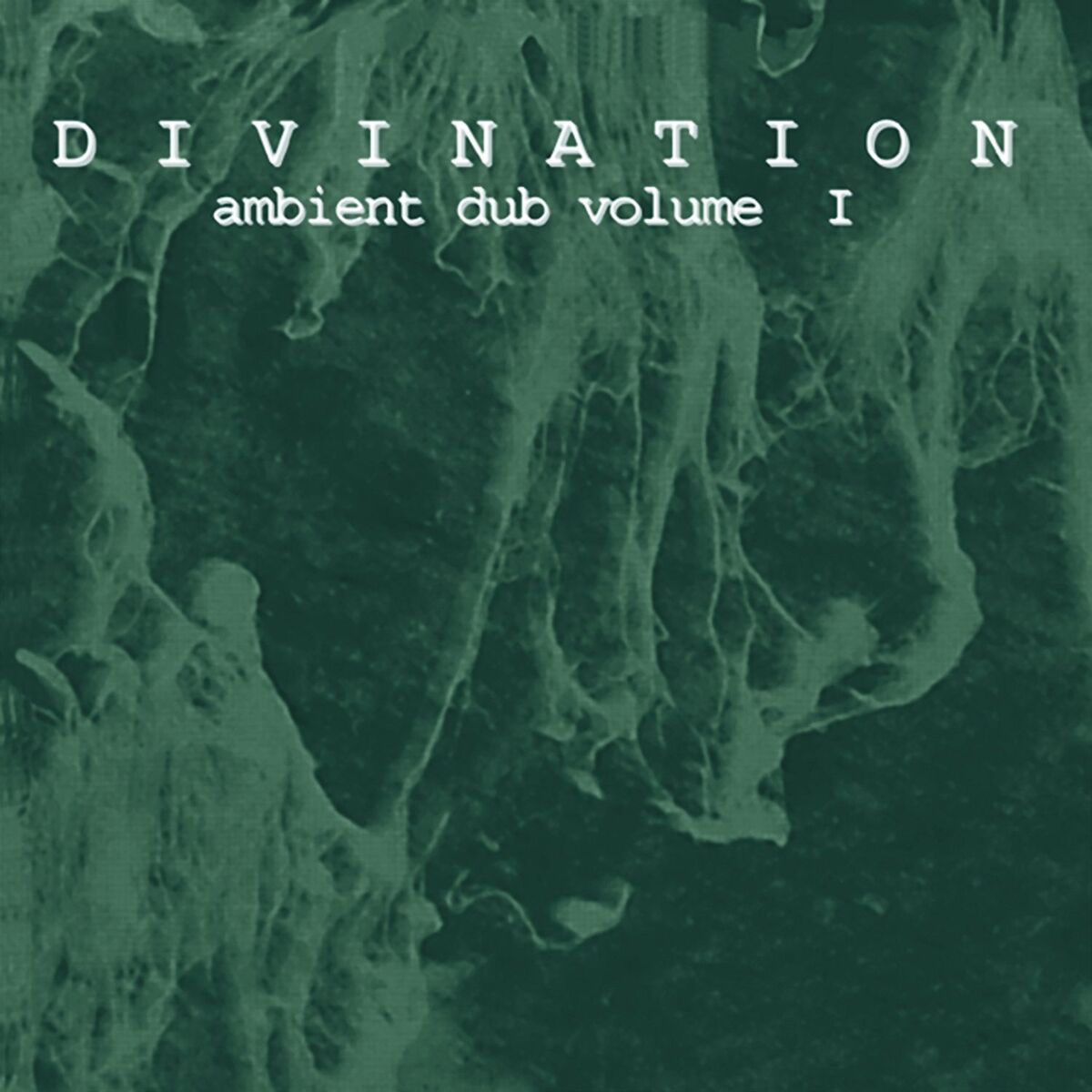 Album cover of Ambient Dub vol I