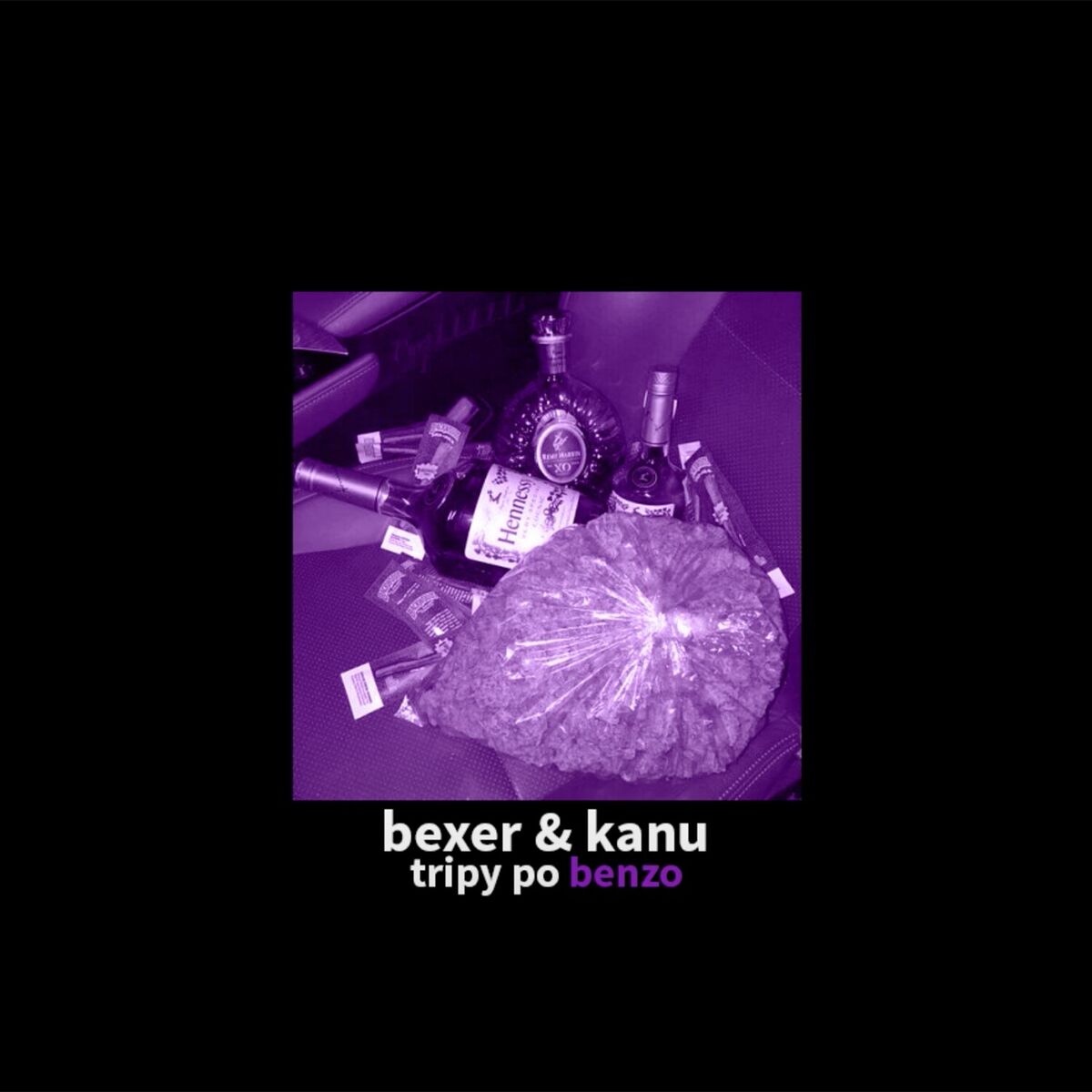 Album cover of tripy po benzo