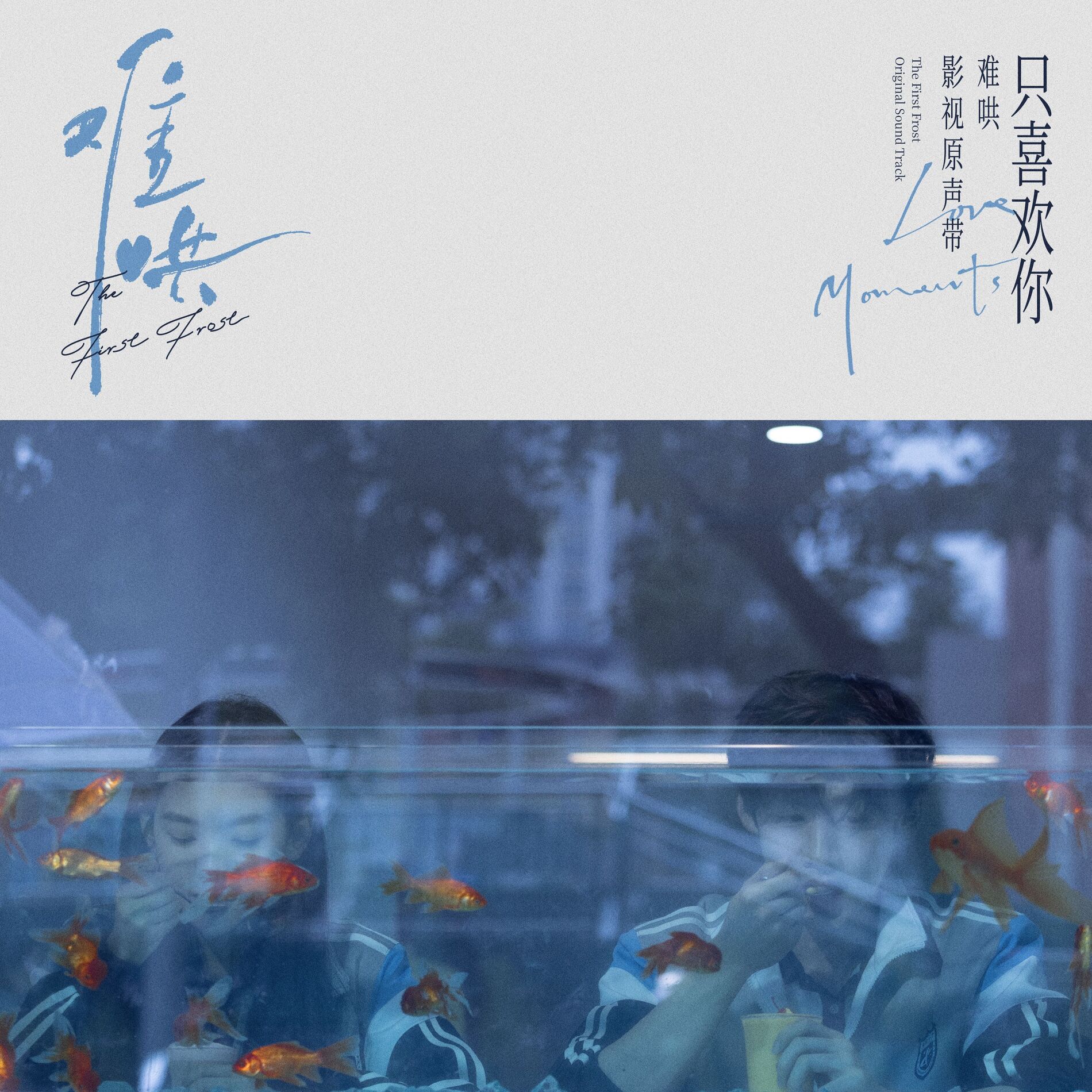 Album cover of 只在今夜（电视剧《难哄》自愈曲）