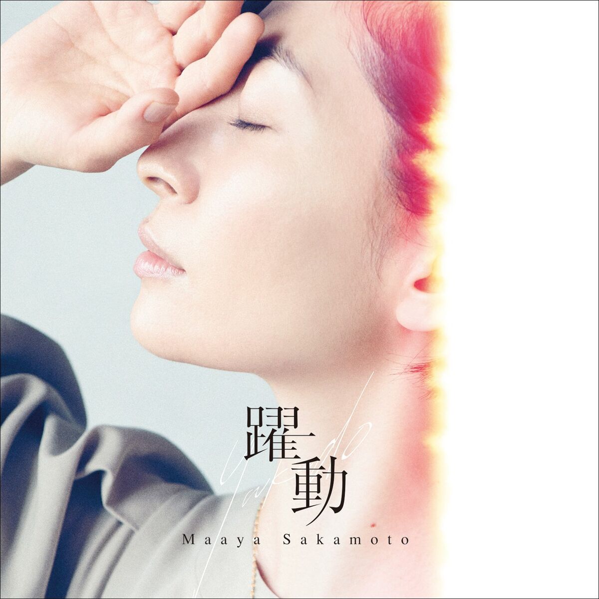 Album cover of Yakudo