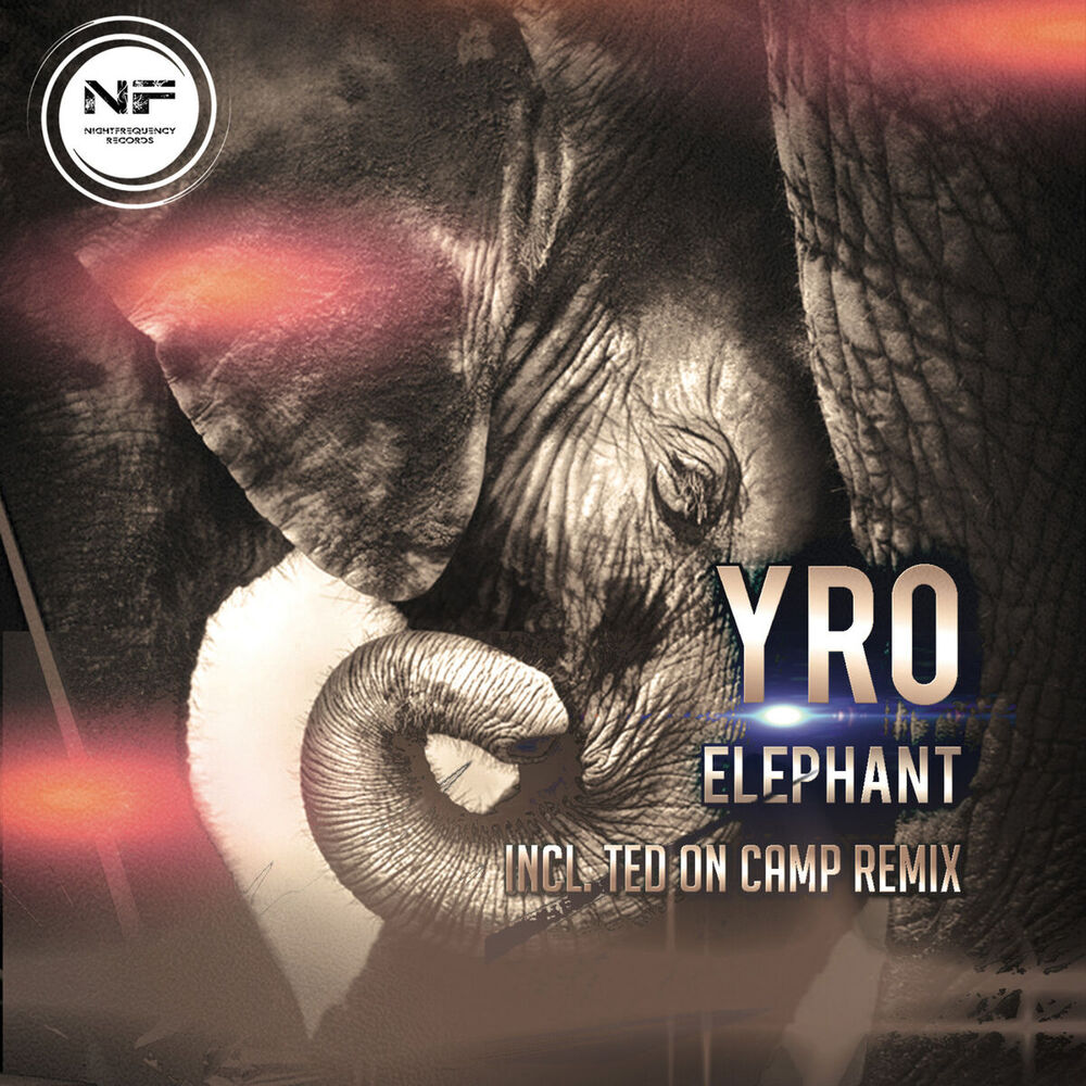 Picture of Elephant