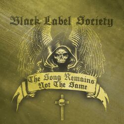 Cover of The Song Remains Not The Same