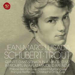 JEAN-MARC LUISADA PLAYS SCHUBERT