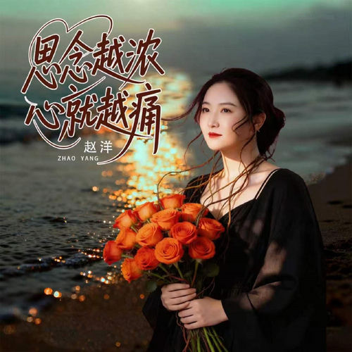 思念越浓心就越痛 (DJ沈念版)