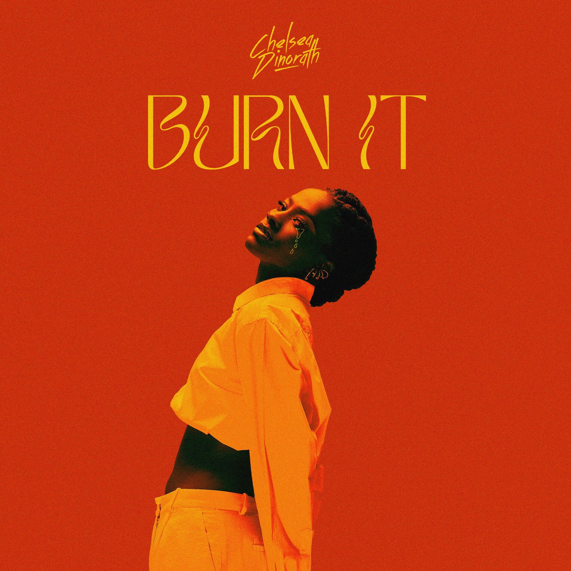 Album cover of Burn It