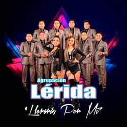 Cover of Llorarás Por Mi