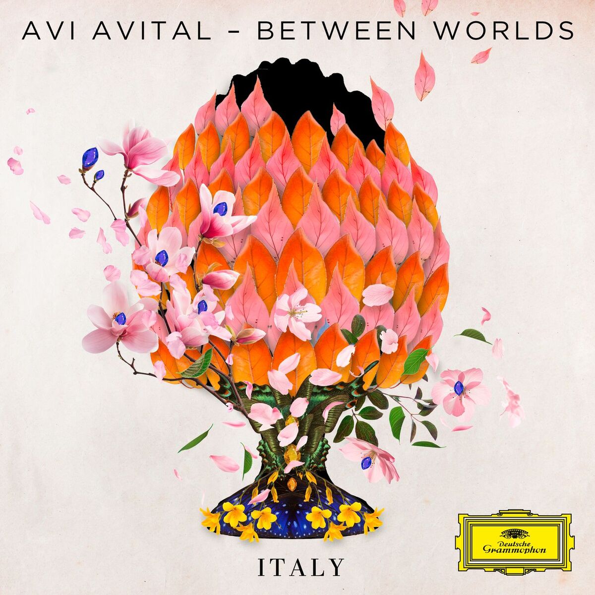 Album cover of Bruce: Tarantella di Sannicandro